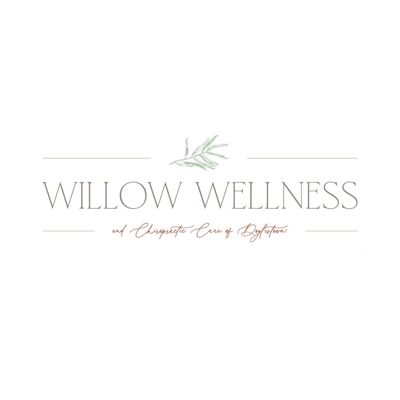 Willow Wellness and Chiropractic Care of Doylestown